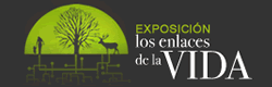 Exposición los Enlaces de la Vida